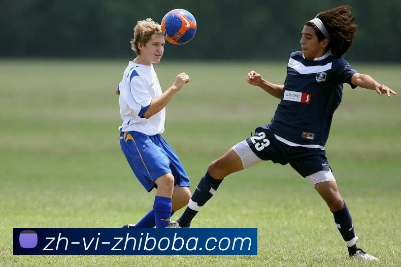 直播吧服务体系